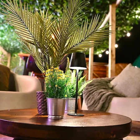 The Secret Garden Glamping Wexford Ballintlea